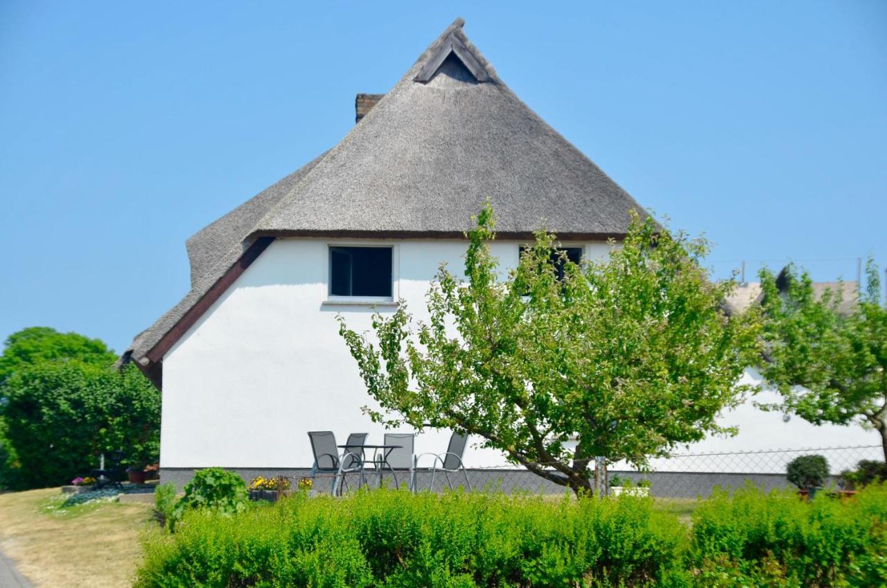 Meerforelle 207 - Villa Seeblick ساسنيتز المظهر الخارجي الصورة